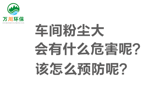 車間粉塵大會(huì)有什么危害呢？該怎么預(yù)防呢？